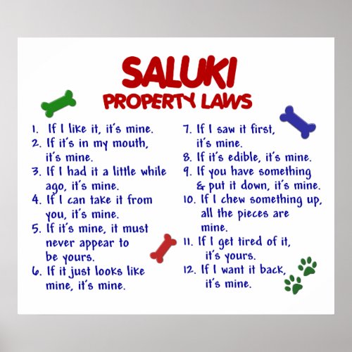 SALUKI PL2 POSTER