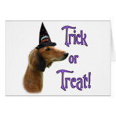 Saluki Trick (Front Horizontal)