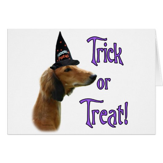 Saluki Trick (Front Horizontal)