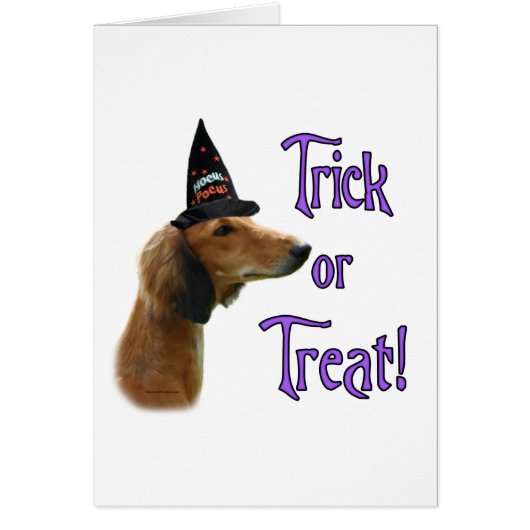 Saluki Trick Cards (Front)