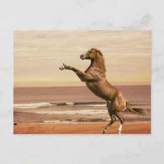 Salute to the Morning Postcard