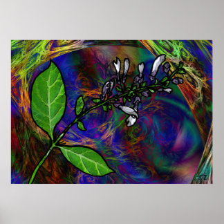 Salvia Divinorum Poster