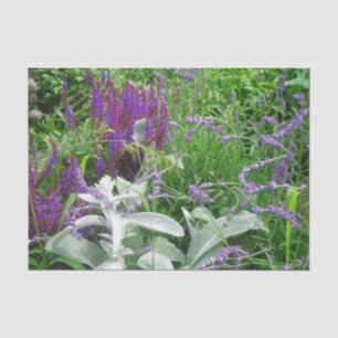 Salvia Lambs ear and Lavender Tissue Paper