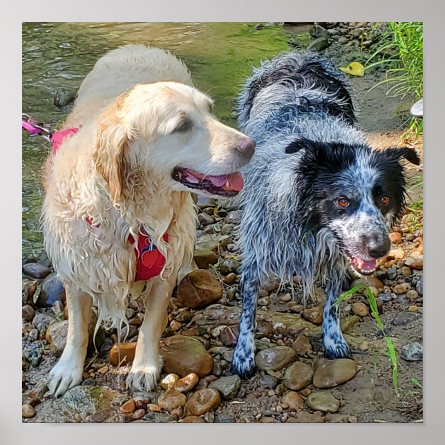 Sam & Bella Poster (Front)