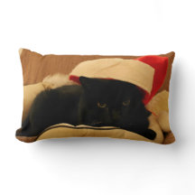 Sam cushion the Cat Christmas edition