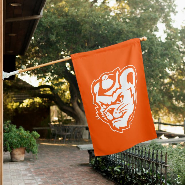Sam Houston State University Bearkat Mascot House Flag (In SItu)