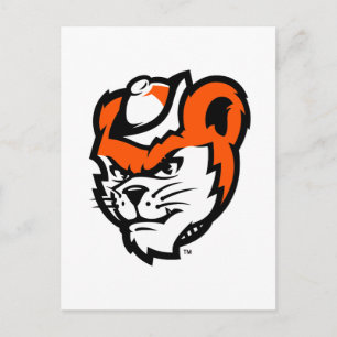 Sam Houston State University Bearkat Mascot Postcard