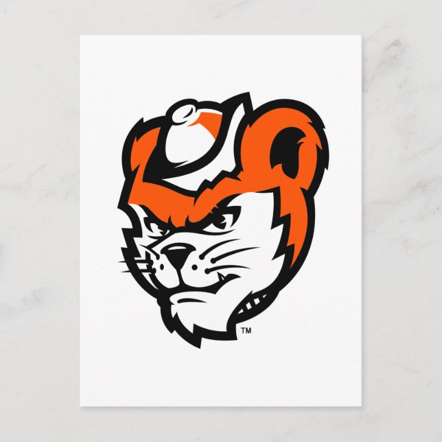 Sam Houston State University Bearkat Mascot Postcard (Front)