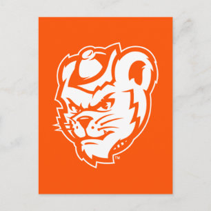 Sam Houston State University Bearkat Mascot Postcard
