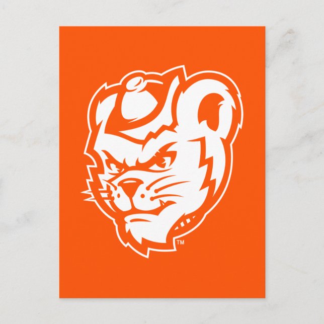 Sam Houston State University Bearkat Mascot Postcard (Front)