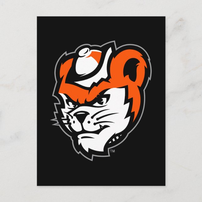 Sam Houston State University Bearkat Mascot Postcard (Front)