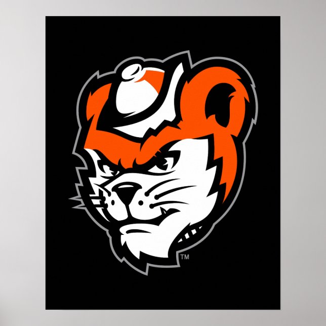 Sam Houston State University Bearkat Mascot Poster (Front)