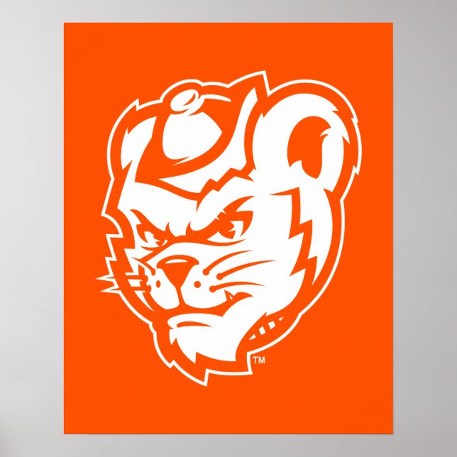 Sam Houston State University Bearkat Mascot Poster (Front)