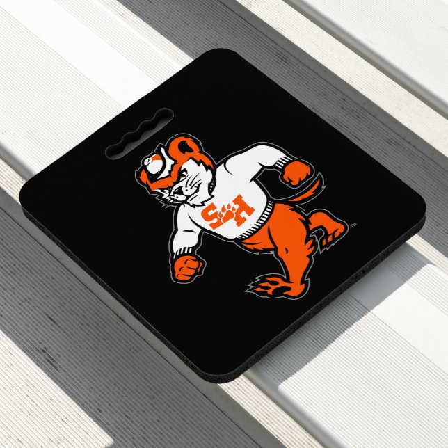 Sam Houston State University Bearkat Seat Cushion (In Situ)