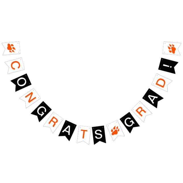 Sam Houston State University Graduation Design Bunting Flags (All)