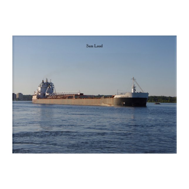 Sam Laud acrylic wall art (Front)