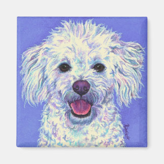 "Sam" - Poodle Mix Magnet