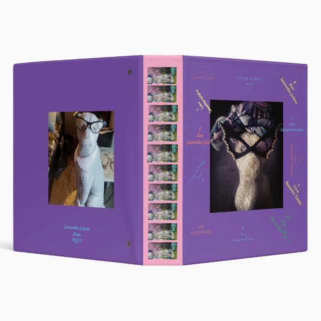 Samantha Eclaire Trapper Keeper Binder (Background)