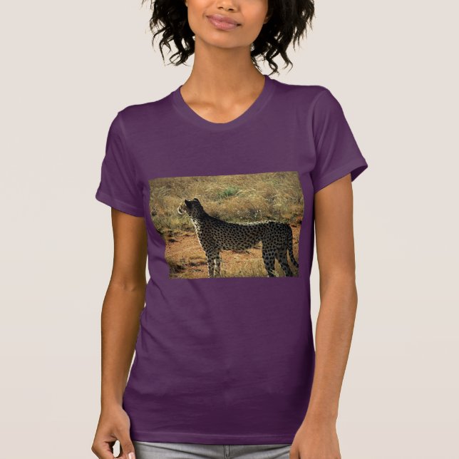 Samburu Cheetah T-Shirt (Front)