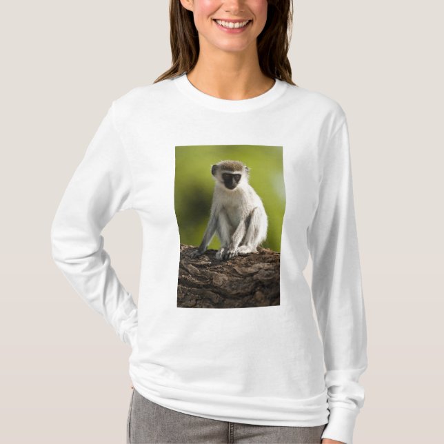 Samburu Game Reserve, Kenya, Vervet Monkey, T-Shirt (Front)