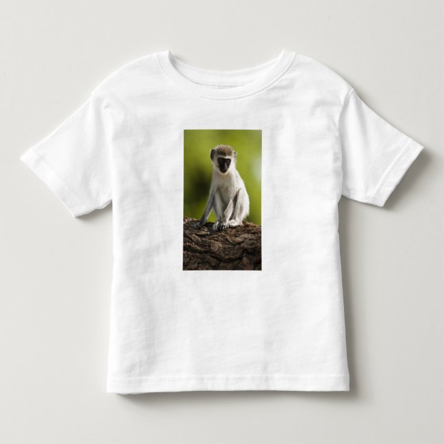 Samburu Game Reserve, Kenya, Vervet Monkey, Toddler T-shirt (Front)