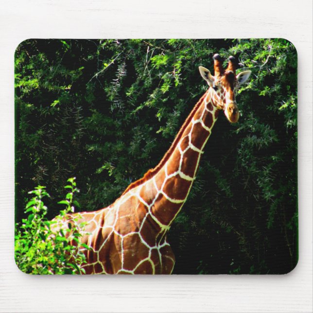 Samburu Giraffe Mouse Pad (Front)
