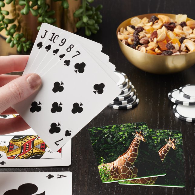 Samburu Giraffe Poker Cards (In Situ)