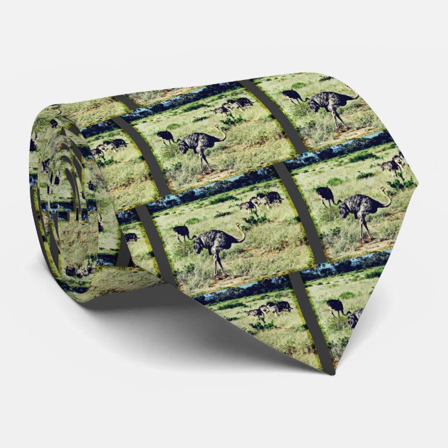 Samburu Ostriches Tie (Rolled)