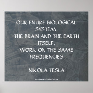 SAME FREQUENCIES - NIKOLA TESLA POSTER