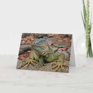 Same Greeting Card
