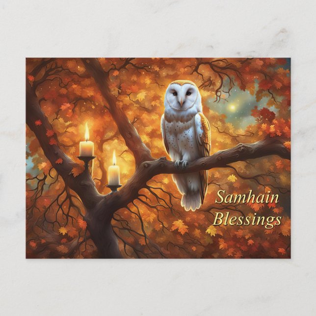 Samhain Holiday with Owl Candles Postcard (Front)