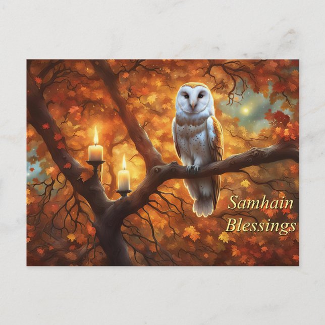 Samhain Owl Candles  Holiday Postcard (Front)