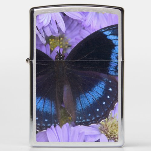 Sammamish Washington Photograph of Butterfly 20 Zippo Lighter