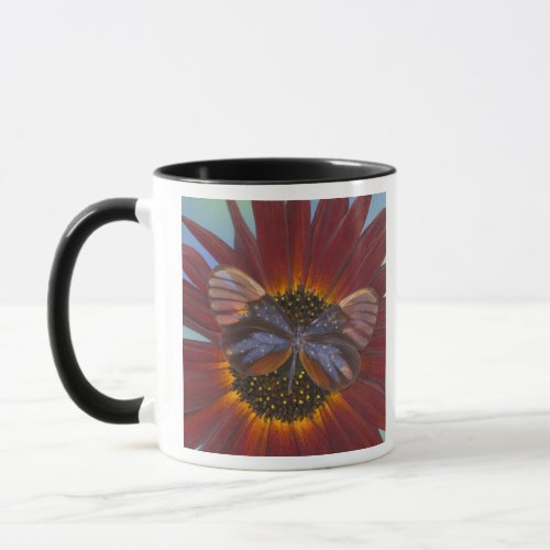 Sammamish Washington Photograph of Butterfly 25 Mug