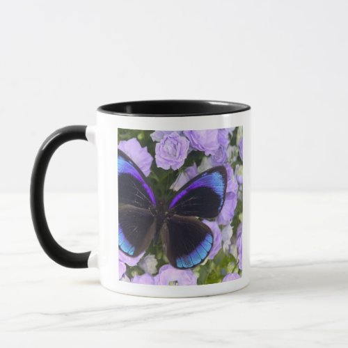 Sammamish Washington Photograph of Butterfly 2 Mug