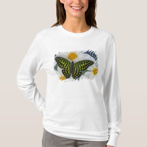 Sammamish Washington Photograph of Butterfly 36 T_Shirt