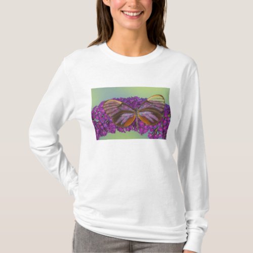 Sammamish Washington Photograph of Butterfly 37 T_Shirt