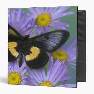 Sammamish Washington Photograph of Butterfly 3 Ring Binder