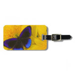 Sammamish Washington Photograph of Butterfly 41 Luggage Tag Sammamish Washington Photograph of Butterfly 41 Luggage Tag