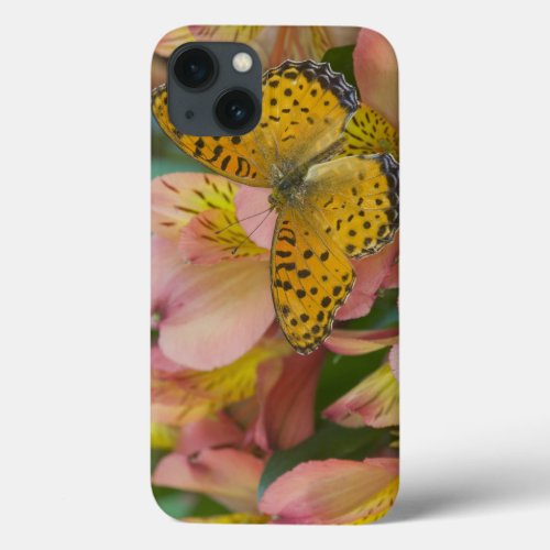 Sammamish Washington Photograph of Butterfly 48 iPhone 13 Case