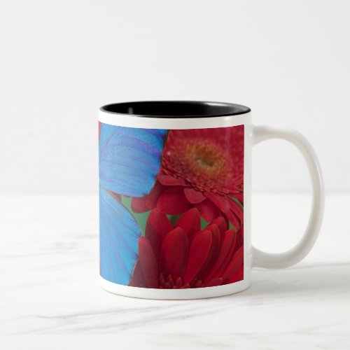 Sammamish Washington Photograph of Butterfly 56 Two_Tone Coffee Mug