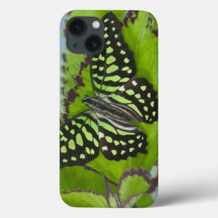 Sammamish Washington Photograph of Butterfly on 11 iPhone 13 Case