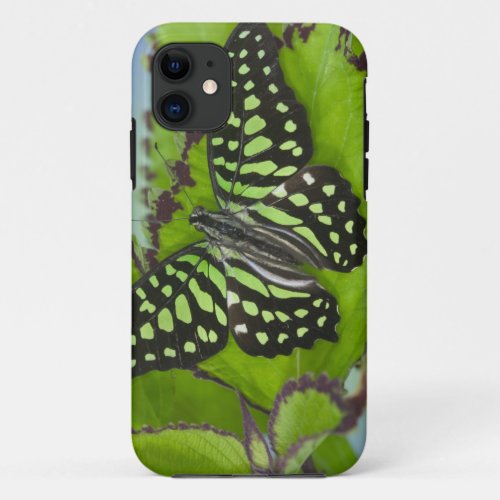 Sammamish Washington Photograph of Butterfly on 11 iPhone 11 Case