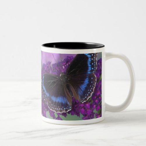 Sammamish Washington Photograph of Butterfly on 12 Two_Tone Coffee Mug