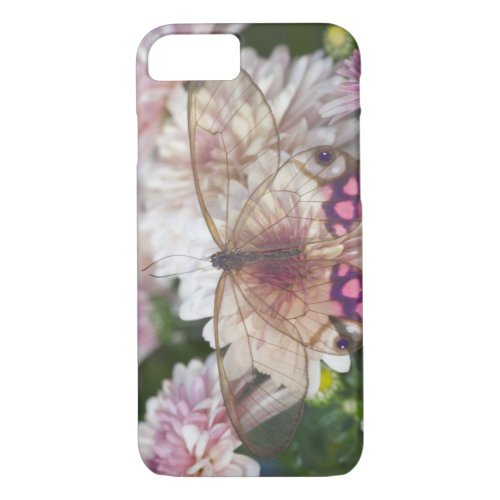 Sammamish Washington Photograph of Butterfly on 15 iPhone 87 Case