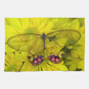 Sammamish Washington Photograph of Butterfly on 8 Towel