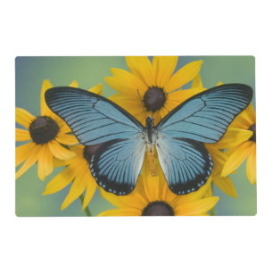 Sammamish Washington Photograph of Butterfly Placemat