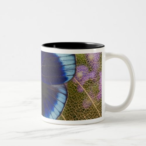 Sammamish Washington Photograph of Butterfly Two_Tone Coffee Mug