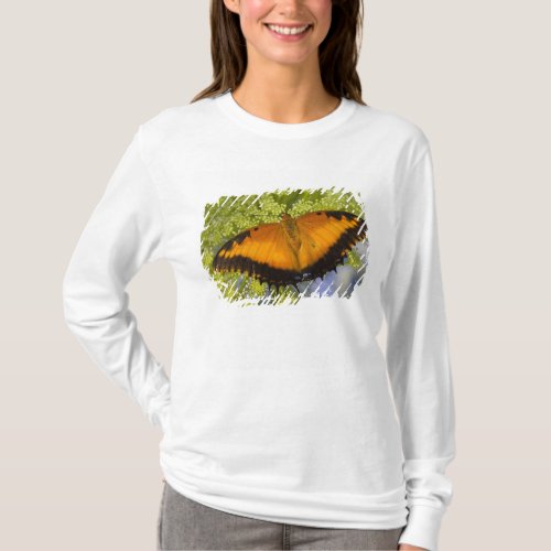 Sammamish Washington Tropical Butterflies 37 T_Shirt