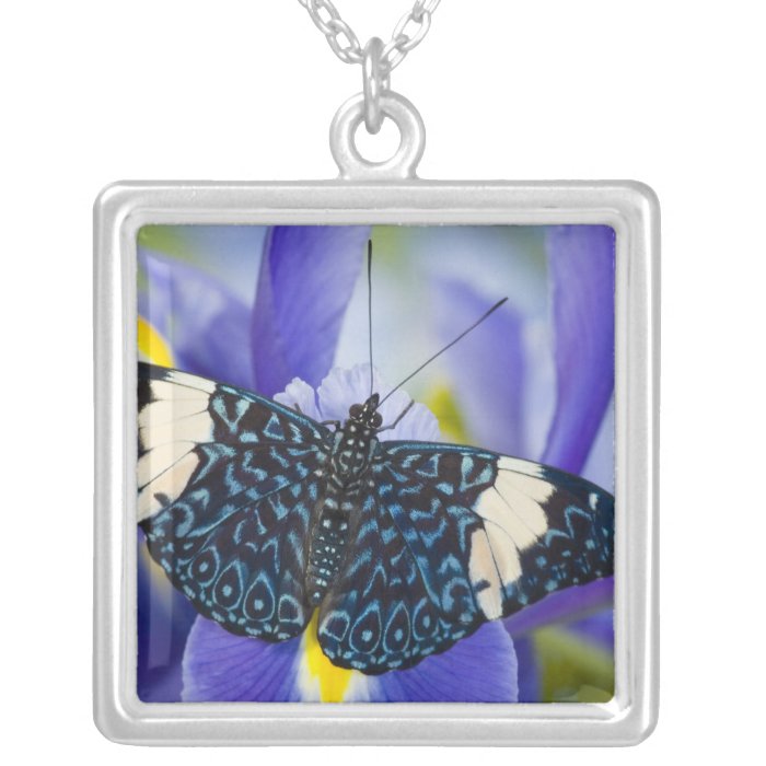 Sammamish, Washington. Tropical Butterflies 56 Jewelry